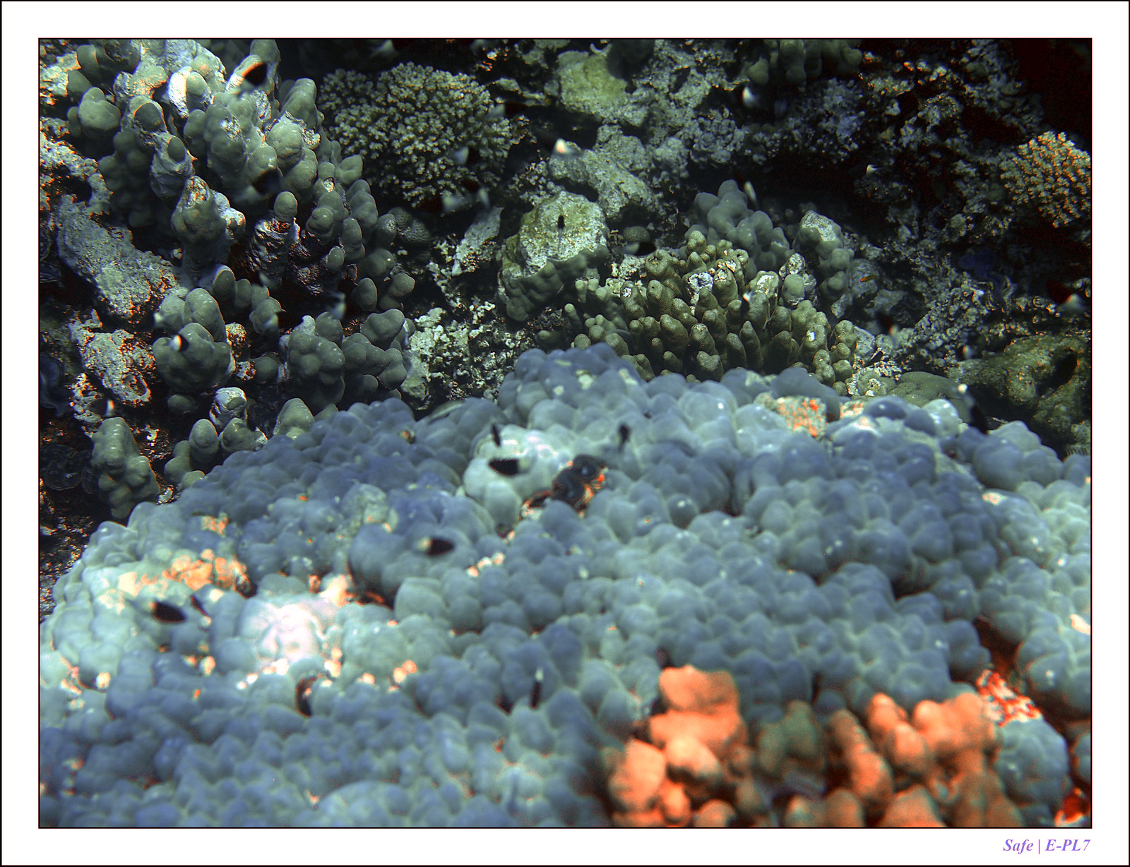 Hurghada - Juillet 2021 - 092